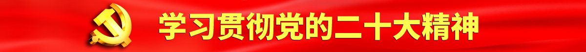 twitter少萝淫荡认真学习贯彻落实党的二十大会议精神